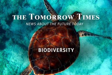 Biodiversity2_asset_wideimage.jpg