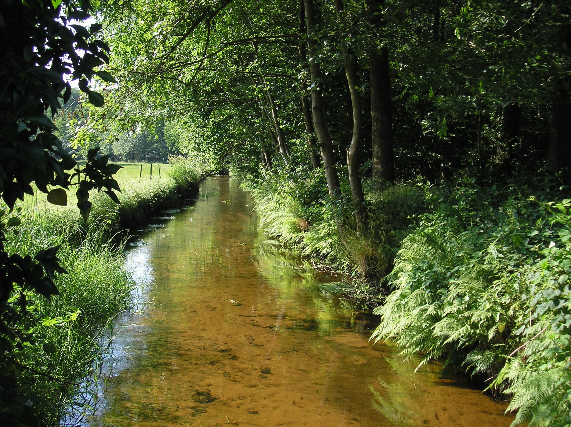 Leuvenumse_beek.jpg