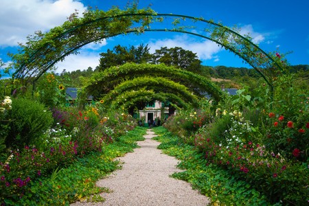 Garden_veronica-reverse-qYwyRF9u-uo-unsplash.jpg